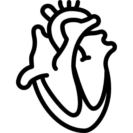 Cardiovascular